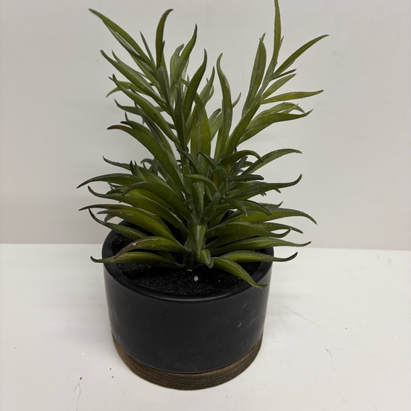 Threshold Potted Faux Succulent Plant Indoor Plant Porch Decor - Picture 6 of 7